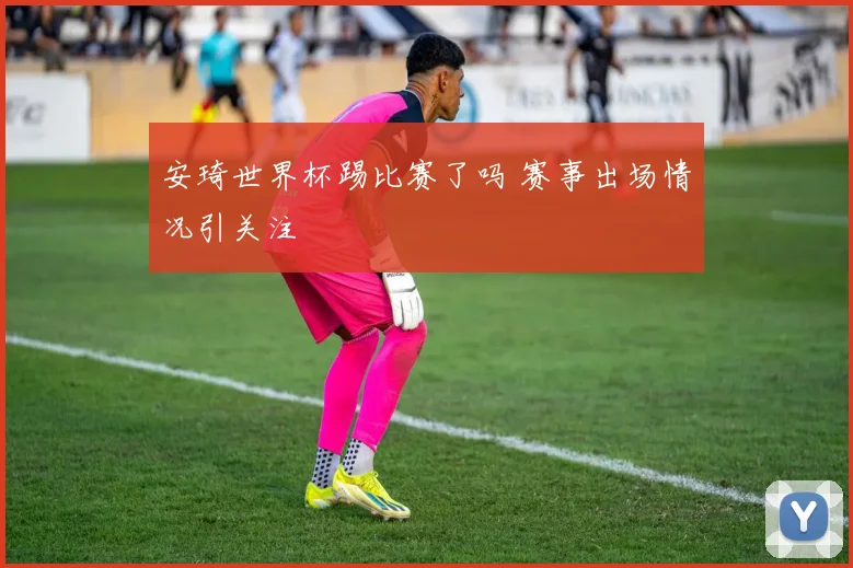 安琦世界杯踢比赛了吗 赛事出场情况引关注